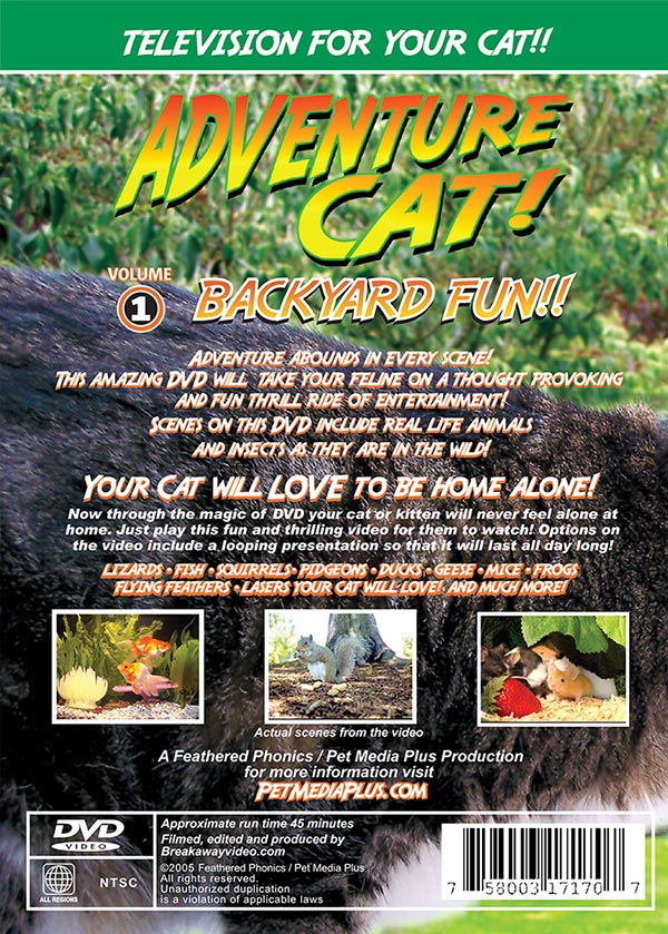 Adventure Cat DVD Volume 1: Backyard Fun! - TV to Entertain Your Cat - Pet Media Plus