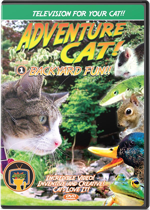 Adventure Cat DVD Volume 1: Backyard Fun! - TV to Entertain Your Cat - Pet Media Plus