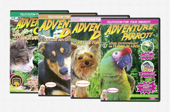 Adventure DVD Series