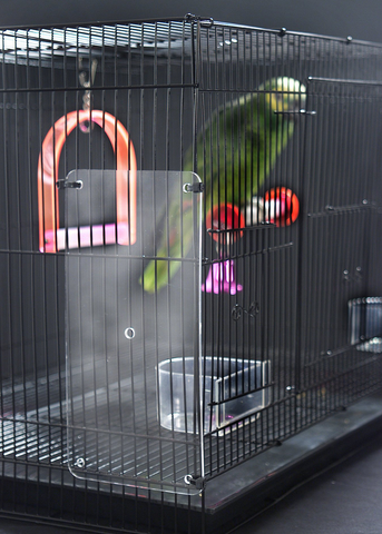 The Small Seed Guard for caged birds and pets.
